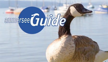 Ammersee Guide